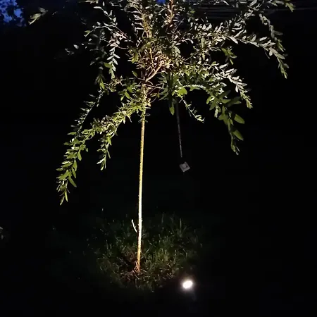 Goscinne Good Night Apartamenty, *