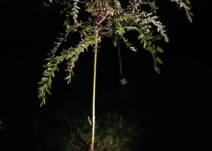 Goscinne Good Night Apartamenty, *