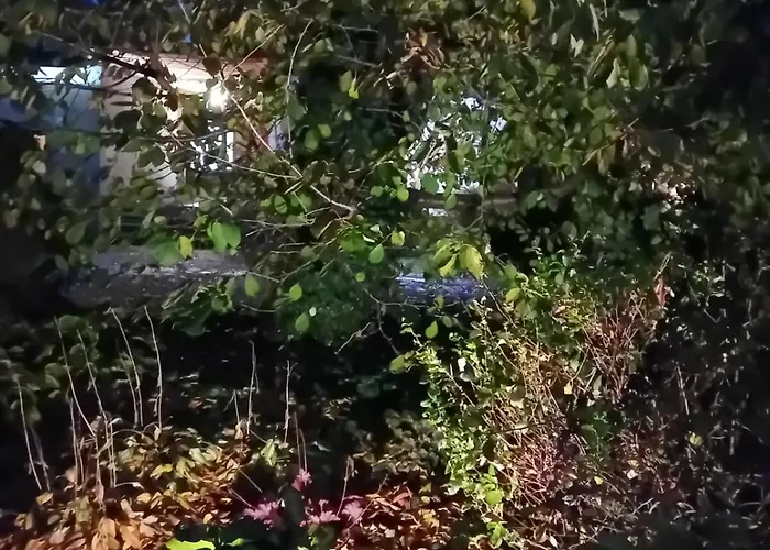 Goscinne Good Night Apartamenty, * Będzin